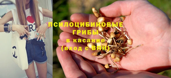 МДПВ Алзамай