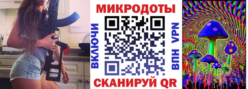 где продают наркотики  Шебекино  Галлюциногенные грибы Psilocybine cubensis 