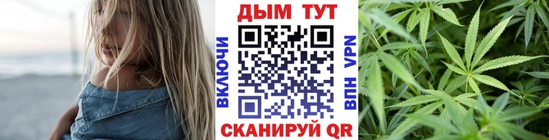 Конопля конопля Шебекино